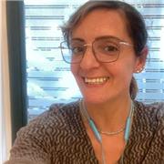 Offro lezioni di materie umanistiche per scuole medie . Tutte le materie per scuole elementari